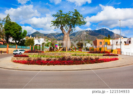 Baobab tree or bottle tree in Marbella city Baobab tree or bottle tree in Marbella city 121534933