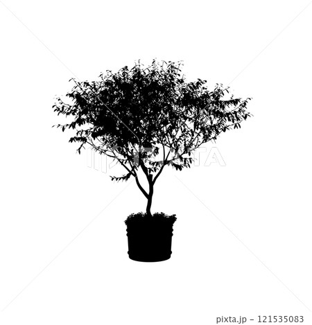 Silhouette of a small decorative tree in a pot isolated on a white background. Vector illustration. Silhouette of a small decorative tree in a pot isolated on a white background. Vector illustration. 121535083