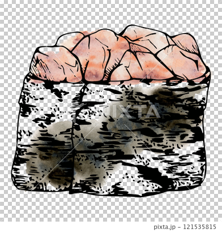 Traditional Japanese food, gunkan sushi seaweed nori wrap with raw fish salmon tuna crab seabass whitefin hand drawn in watercolor and ink. Illustration for restaurant, cafe menu, kitchen, recipe book 121535815