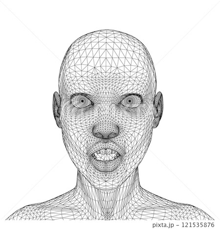 Wireframe of a girl's head from black lines isolated on a white background. Surprised facial expression. Front view. 3D. Vector illustration. 121535876