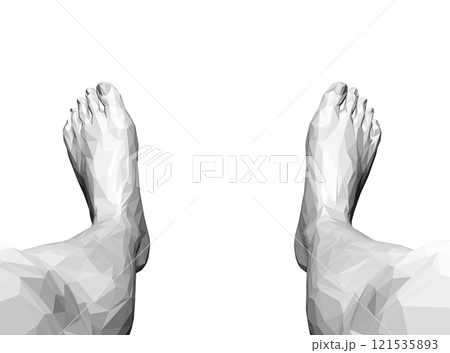 Low poly models of human legs from black lines isolated on white background. View from above. 3D. Vector illustration. 121535893
