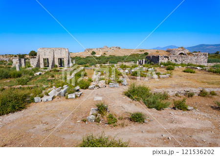 Miletus Archaeological Site near Didim city in Turkey Miletus Archaeological Site near Didim city in Turkey 121536202
