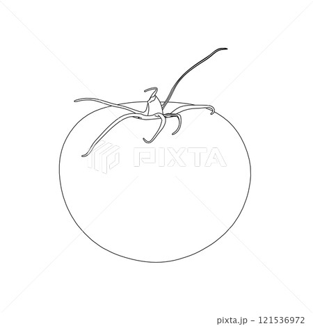 Outline of a tomato from black lines isolated on a white background. Vector illustration. Outline of a tomato from black lines isolated on a white background. Vector illustration. 121536972