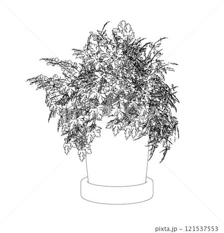 Outline of a home flower in a pot from black lines isolated on a white background. Front view. 3D. Vector illustration. Outline of a home flower in a pot from black lines isolated on a white background. Front view. 3D. Vector illustration. 121537553