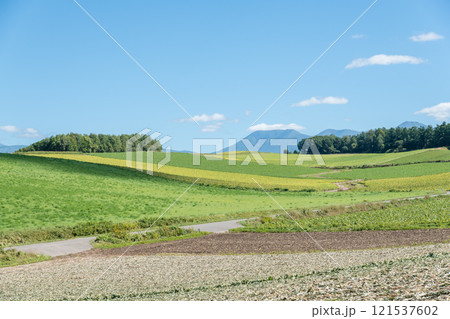 【丘の町美瑛町　秋の風景】 121537602