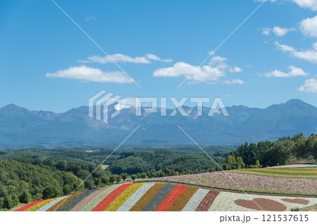 【美瑛町 四季彩の丘から秋の風景と十勝岳連峰】 【美瑛町 四季彩の丘から秋の風景と十勝岳連峰】 121537615