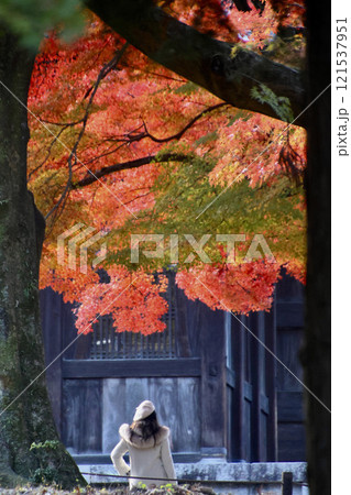 南禅寺・三門・紅葉(京都・左京区) 南禅寺・三門・紅葉(京都・左京区) 121537951