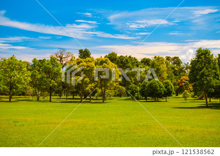 Bali Botanic Garden in Indonesia Bali Botanic Garden in Indonesia 121538562