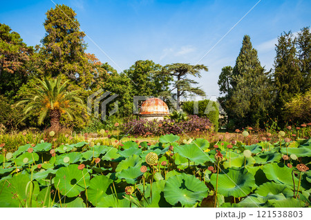 Jardin plantes botanical garden, Montpellier Jardin plantes botanical garden, Montpellier 121538803