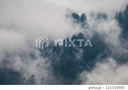 Forested mountains in cloud and mist 121538985