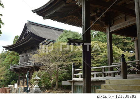 世界遺産　醍醐寺　開山堂から見る如意輪堂【重文】 121539292