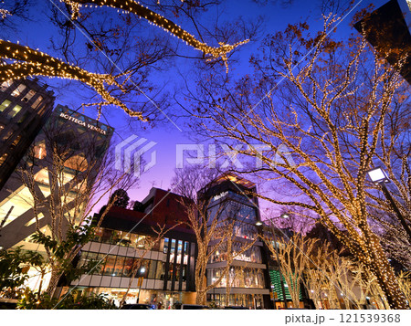 表参道のイルミネーション　東京都 121539368