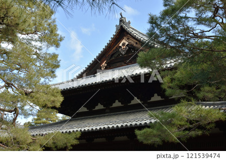 大本山大徳寺　松に挟まれる法堂【重要文化財】 121539474