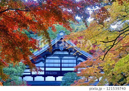 南禅寺・本坊（京都・左京区） 121539740