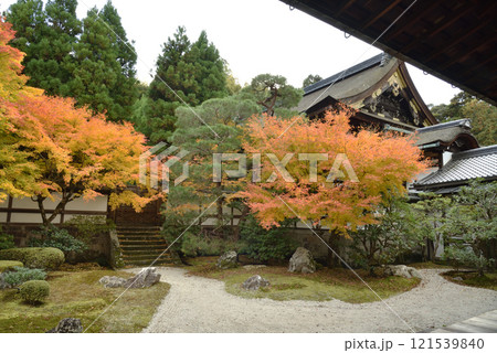 御寺泉涌寺 秋の御座所庭園と霊明殿(京都市東山区) 御寺泉涌寺 秋の御座所庭園と霊明殿(京都市東山区) 121539840