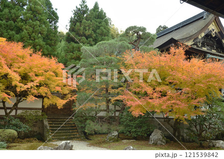 御寺泉涌寺　秋の御座所庭園と霊明殿(京都市東山区) 121539842