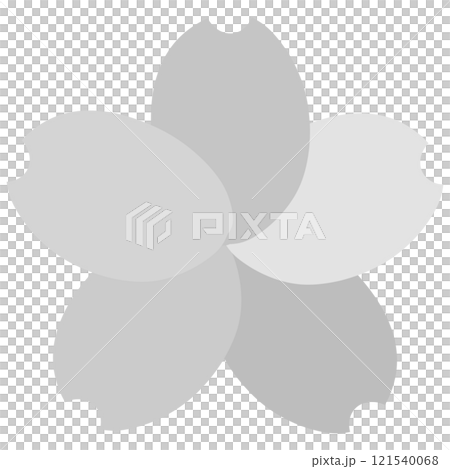 グレーの花びらの色が違う桜 グレーの花びらの色が違う桜 121540068