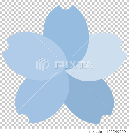 不同顏色的藍色花瓣的櫻花 121540069