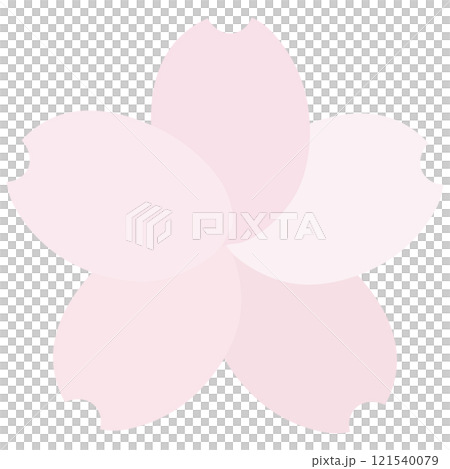 とても淡いピンク色の花びらの色が違う桜 とても淡いピンク色の花びらの色が違う桜 121540079