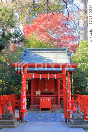 【神奈川県】鎌倉の鶴岡八幡宮にある丸山稲荷社 121540314
