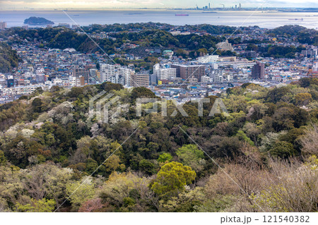 春咲く三浦半島の横須賀線E217系 春咲く三浦半島の横須賀線E217系 121540382