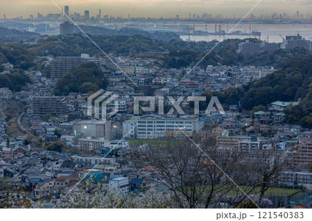 春咲く三浦半島の横須賀線E217系 121540383
