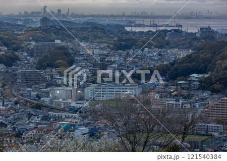 春咲く三浦半島の横須賀線E217系 121540384