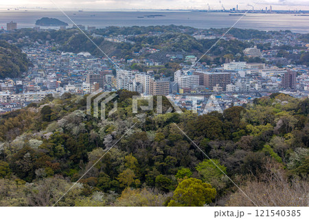 春咲く三浦半島の横須賀線E217系 121540385