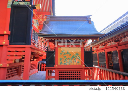 【神奈川県】鎌倉 鶴岡八幡宮 【神奈川県】鎌倉 鶴岡八幡宮 121540388