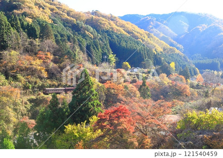 わたらせ渓谷鐵道「沢入付近の山里紅葉風景を走る列車」 わたらせ渓谷鐵道「沢入付近の山里紅葉風景を走る列車」 121540459