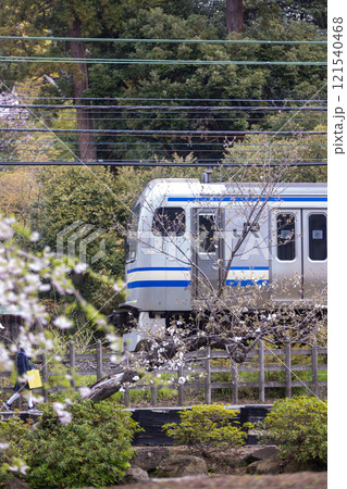 春咲く鎌倉の横須賀線E217系 121540468