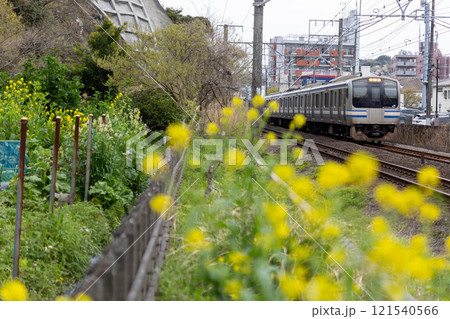 春咲く横須賀線E217系 春咲く横須賀線E217系 121540566