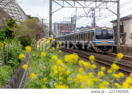 春咲く横須賀線E217系 春咲く横須賀線E217系 121540568