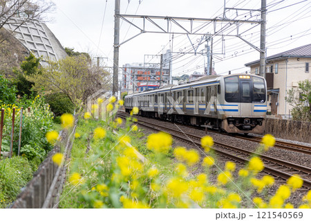 春咲く鎌倉の横須賀線E217系 春咲く鎌倉の横須賀線E217系 121540569
