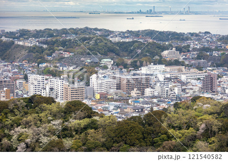 春咲く横須賀線E217系 121540582