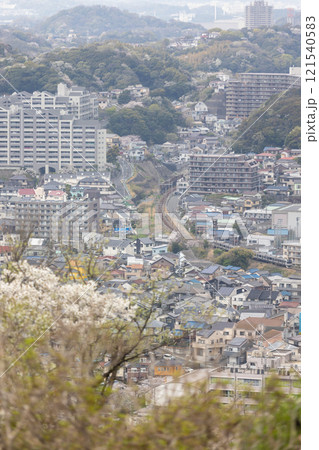 春咲く鎌倉の横須賀線E217系 春咲く鎌倉の横須賀線E217系 121540583