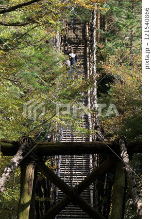 徳島県三好市奥祖谷地区（旧東祖谷山村）「奥祖谷二重かずら橋」の男橋 121540866