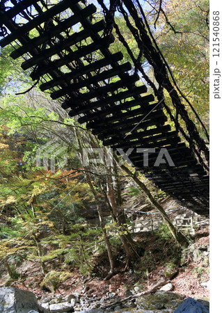 徳島県三好市奥祖谷地区(旧東祖谷山村)「奥祖谷二重かずら橋」の女橋を下から見る 徳島県三好市奥祖谷地区(旧東祖谷山村)「奥祖谷二重かずら橋」の女橋を下から見る 121540868