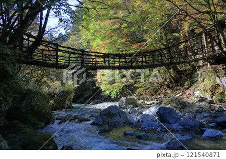 徳島県三好市奥祖谷地区（旧東祖谷山村）「奥祖谷二重かずら橋」の女橋 121540871