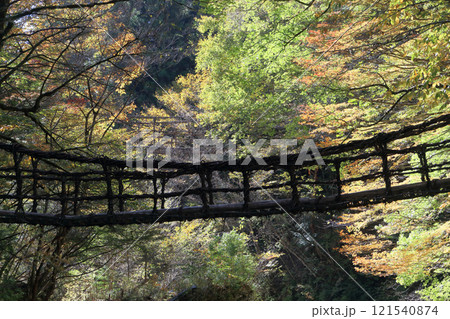 徳島県三好市奥祖谷地区(旧東祖谷山村)「奥祖谷二重かずら橋」の女橋と男橋 徳島県三好市奥祖谷地区(旧東祖谷山村)「奥祖谷二重かずら橋」の女橋と男橋 121540874