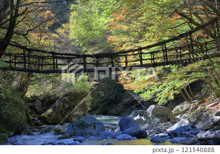 徳島県三好市奥祖谷地区（旧東祖谷山村）「奥祖谷二重かずら橋」の女橋と男橋 121540888