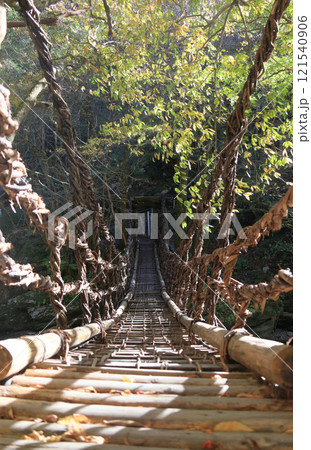 徳島県三好市奥祖谷地区（旧東祖谷山村）「奥祖谷二重かずら橋」の女橋 121540906