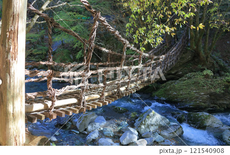 徳島県三好市奥祖谷地区（旧東祖谷山村）「奥祖谷二重かずら橋」の女橋 121540908