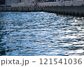 輝く水面 121541036