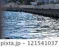 輝く水面 121541037