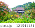紅葉にかこまれる清水寺 121541181