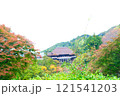 紅葉に包まれた秋の山寺 121541203