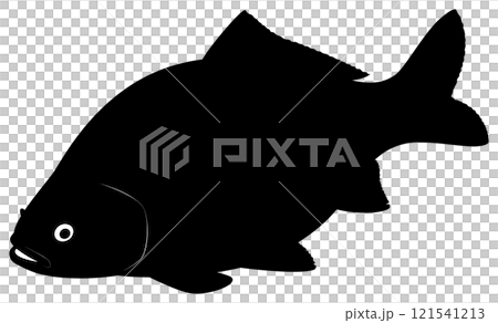 ヘラブナ ヘラブナ 121541213