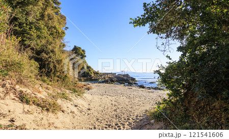 下田市白浜神社の新年 下田市白浜神社の新年 121541606