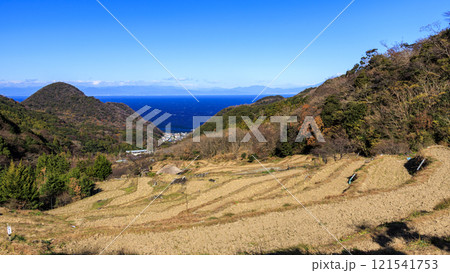 富士山の見える石部棚田 121541753